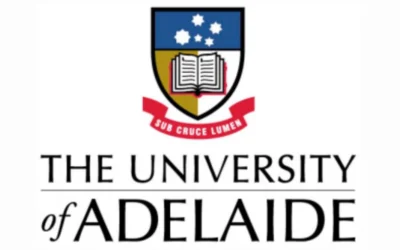 Abren convocatoria de doctorado totalmente financiado en biología estructural computacional e ingeniería de proteínas